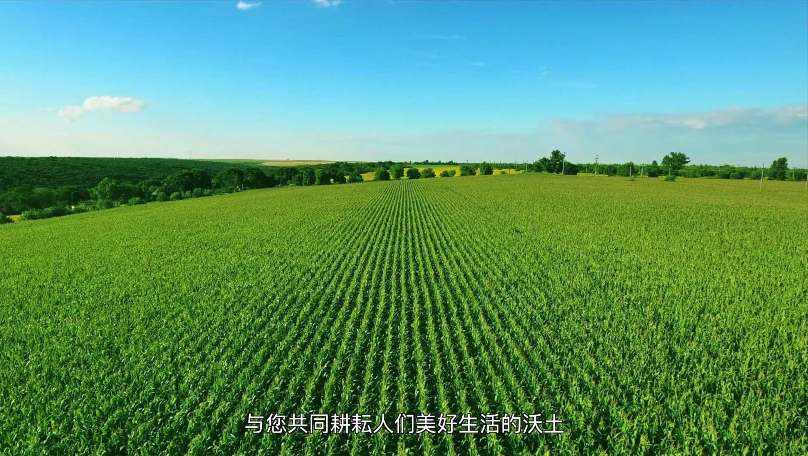 标题