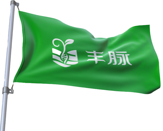 关于丰脉 关于丰脉