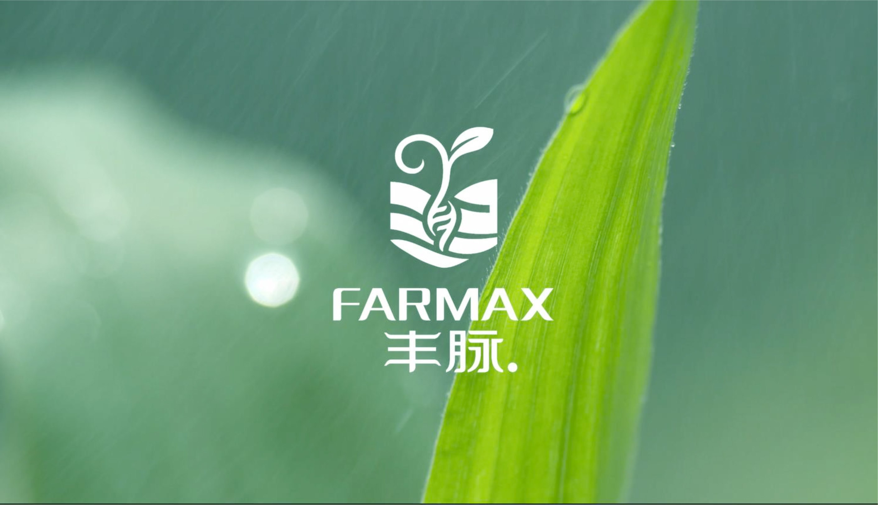 标题 标题
